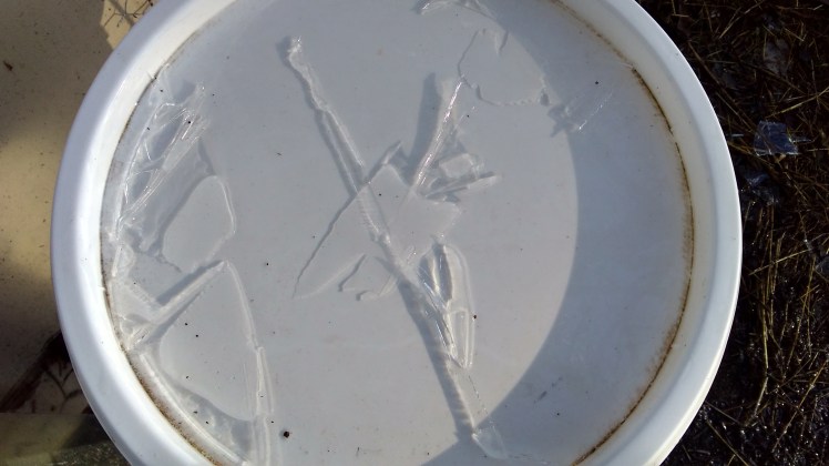 IMG_20180627_092357497_HDR