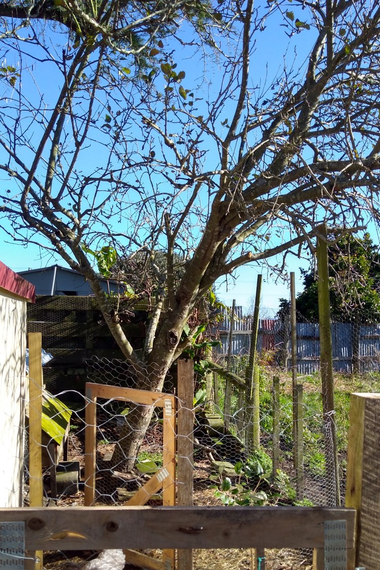 IMG_20180627_132028856_HDR 3x2