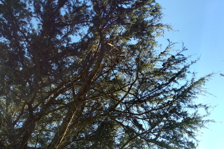 IMG_20180627_152911011_HDR 3x2.jpg