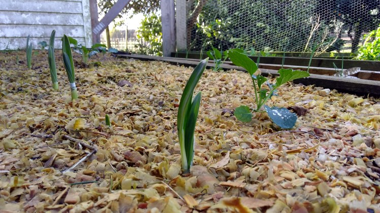 IMG_20180717_144240236_HDR