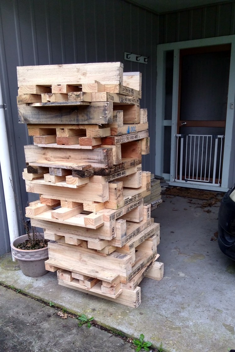 IMG_20180718_101136047_HDR 3x2.jpg