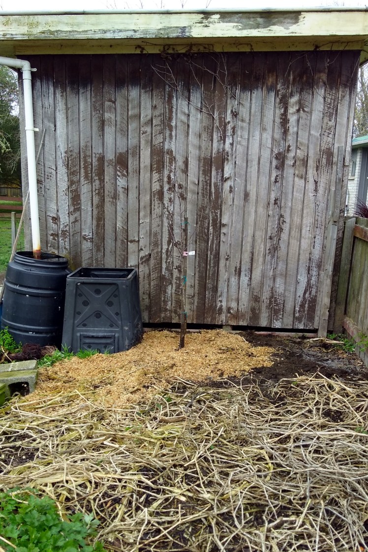 IMG_20180718_112439690_HDR 3x2