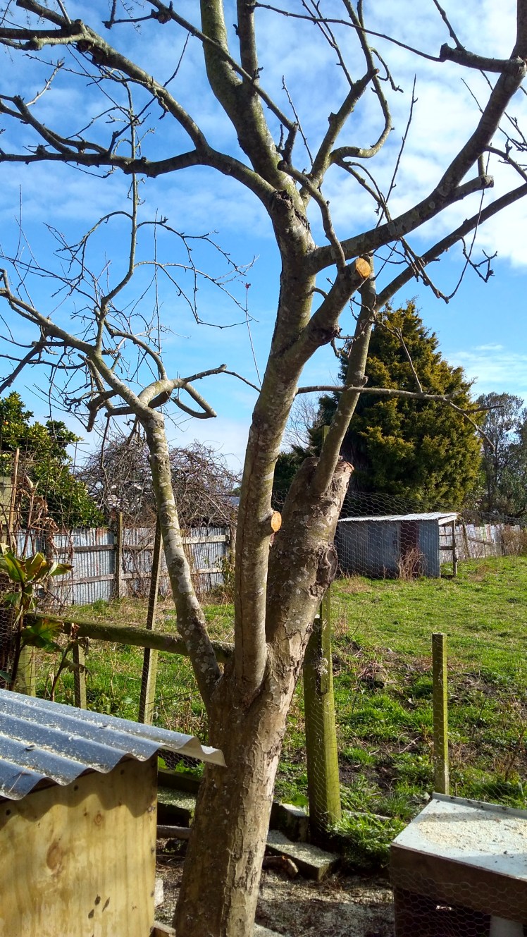 IMG_20180721_103712302_HDR