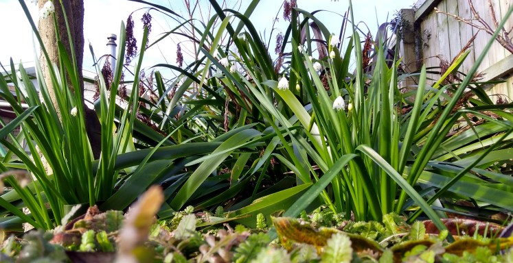 IMG_20180727_094819501_HDR w