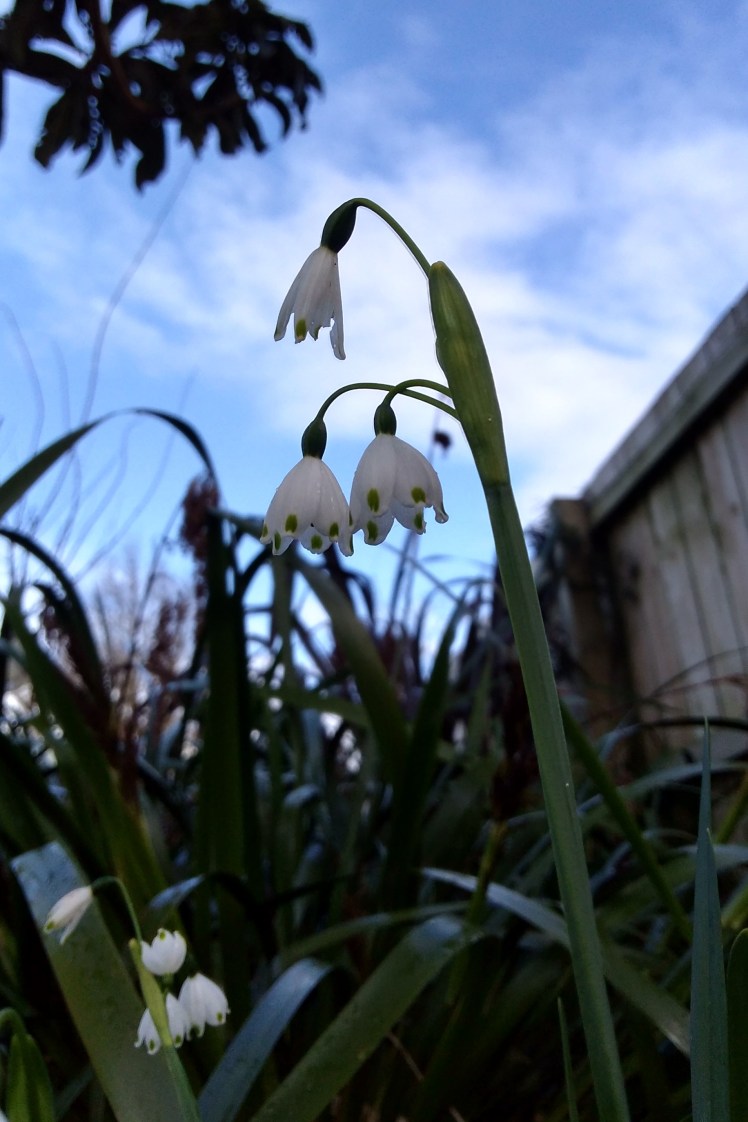 IMG_20180728_150656638_HDR 3x2