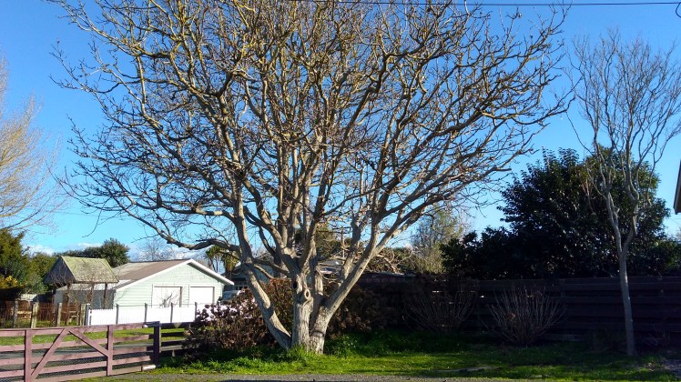 IMG_20180811_153246677_HDR