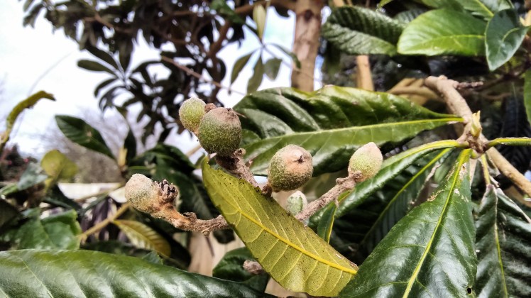 IMG_20180816_102045181