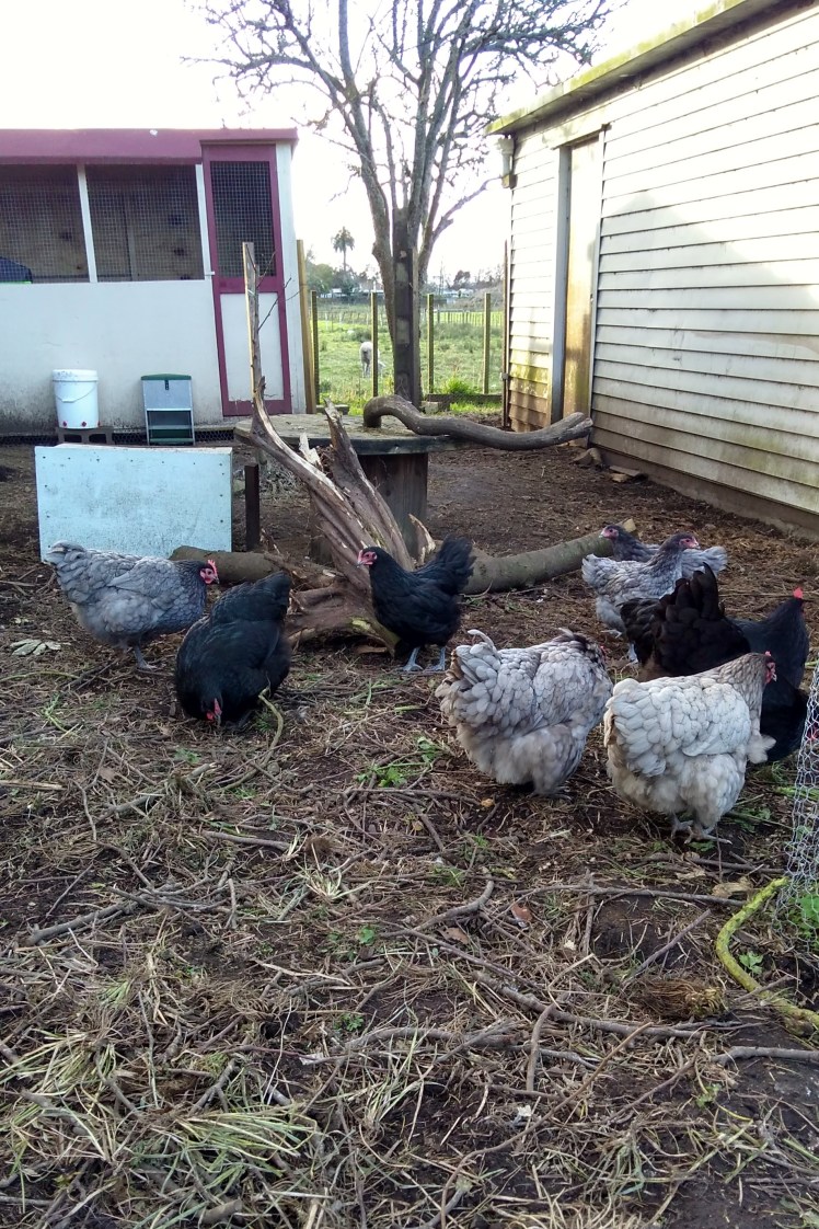 IMG_20180823_164212332_HDR 3x2.jpg