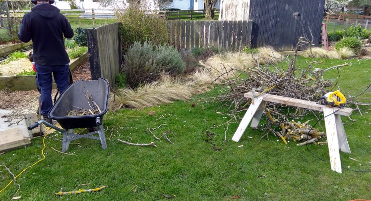 IMG_20180825_152958825_HDR ed.jpg