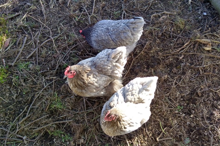 IMG_20180901_162809918_HDR