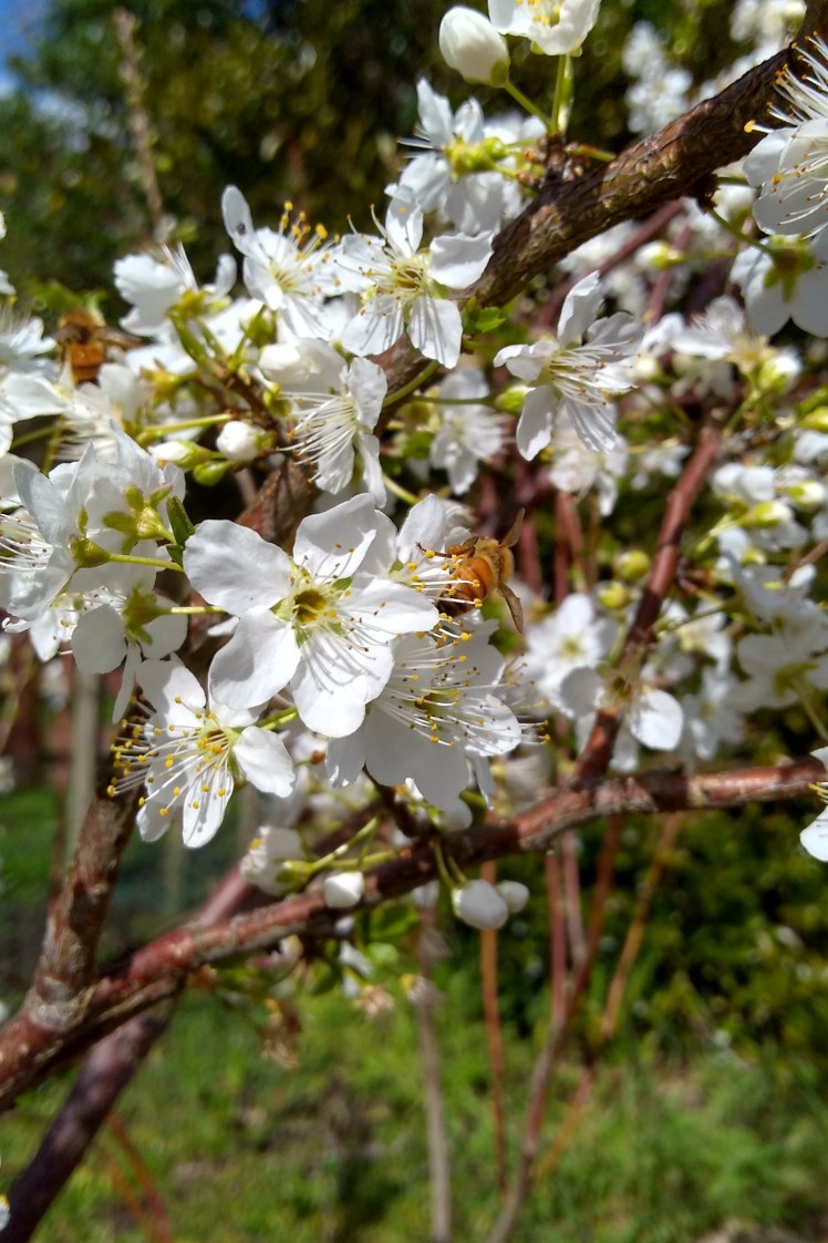 IMG_20180905_130541193_HDR 3x2