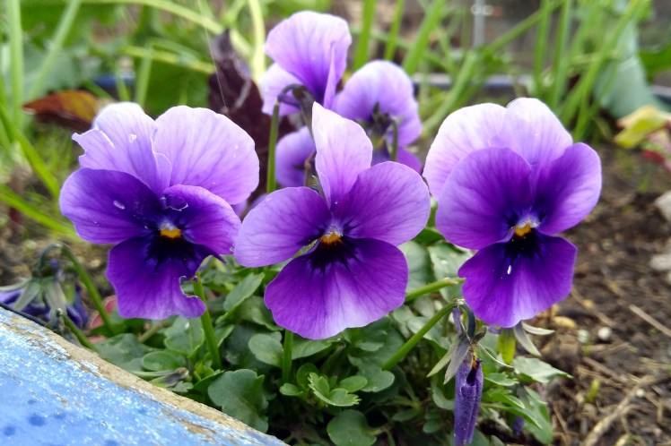 IMG_20180905_162941280_HDR 3x2