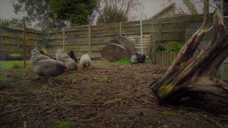 IMG_20180906_100338102_HDR sns