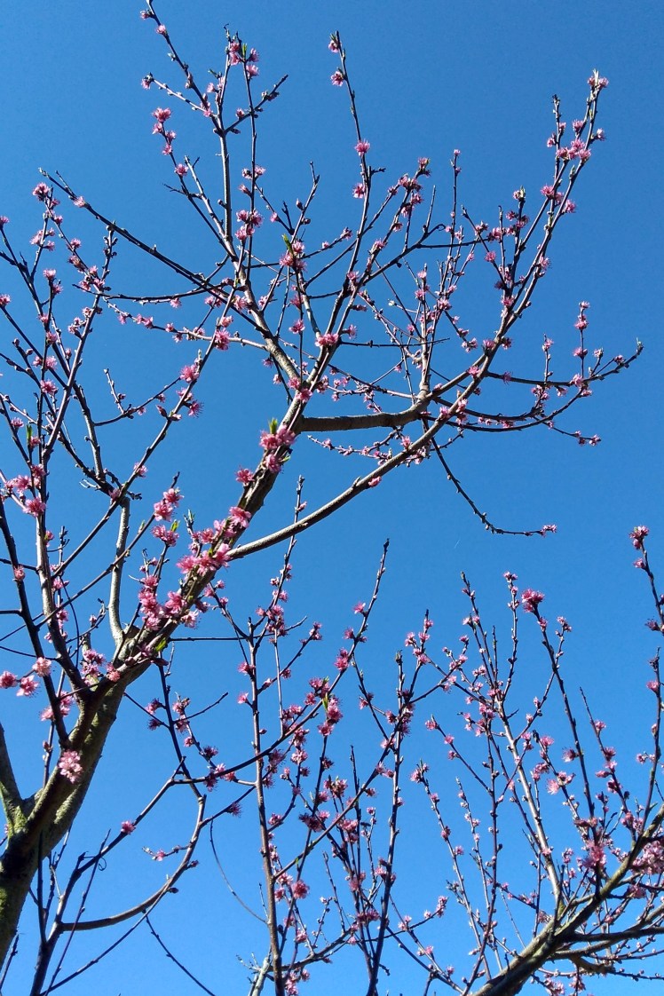 IMG_20180912_111038932_HDR 3x2