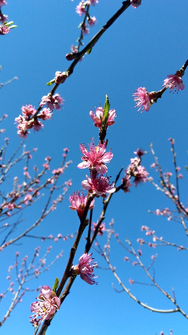 IMG_20180912_111115366_HDR