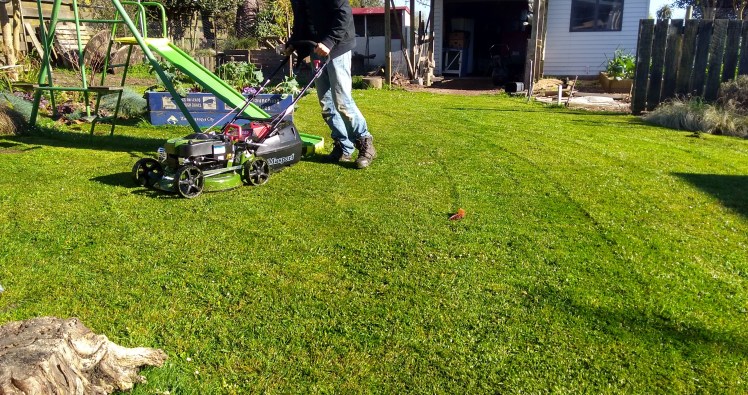 IMG_20180920_082349247_HDR ed.jpg