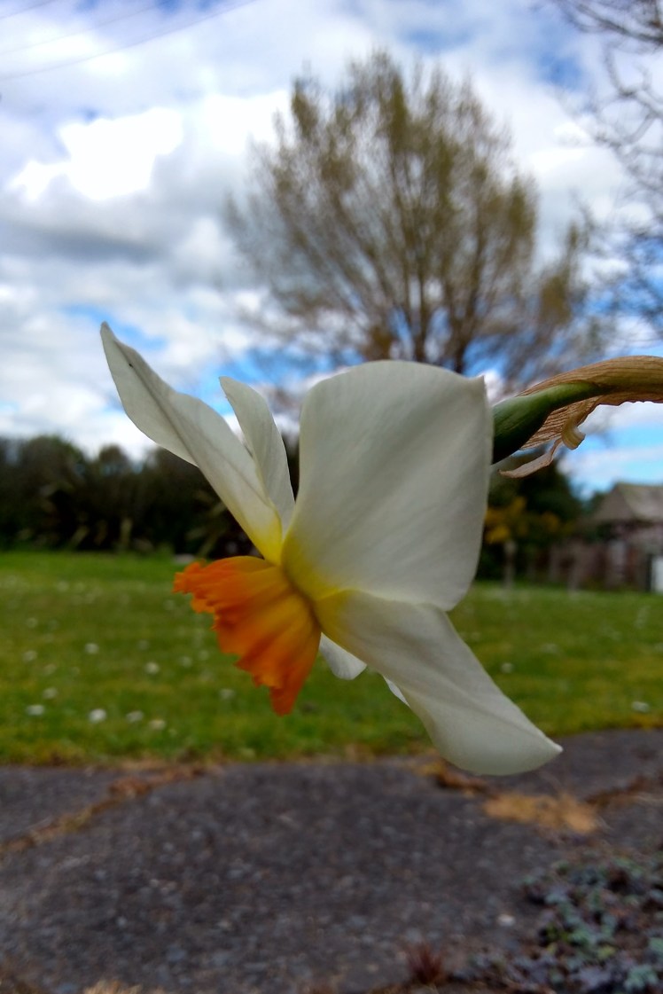 IMG_20180920_140912533_HDR 3x2