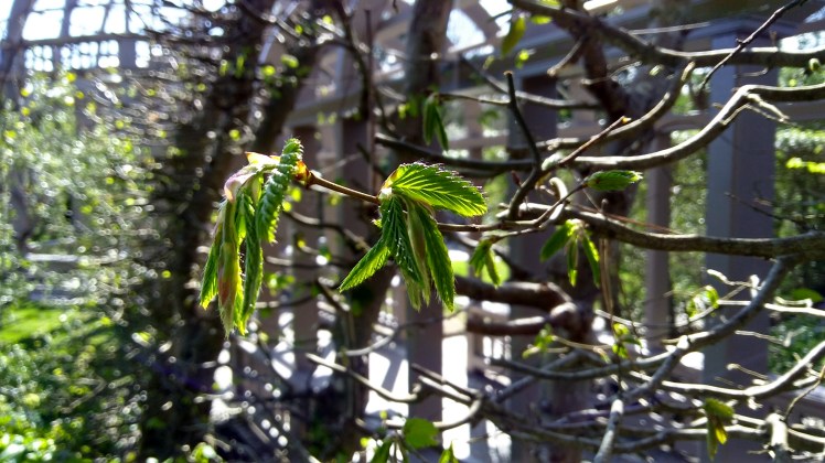 IMG_20180927_143103189_HDR