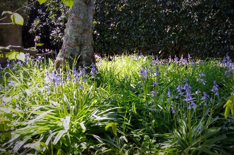 IMG_20180927_143210921_HDR 3x2v