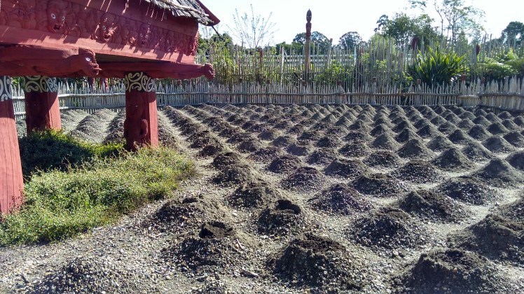 IMG_20180927_145110606_HDR