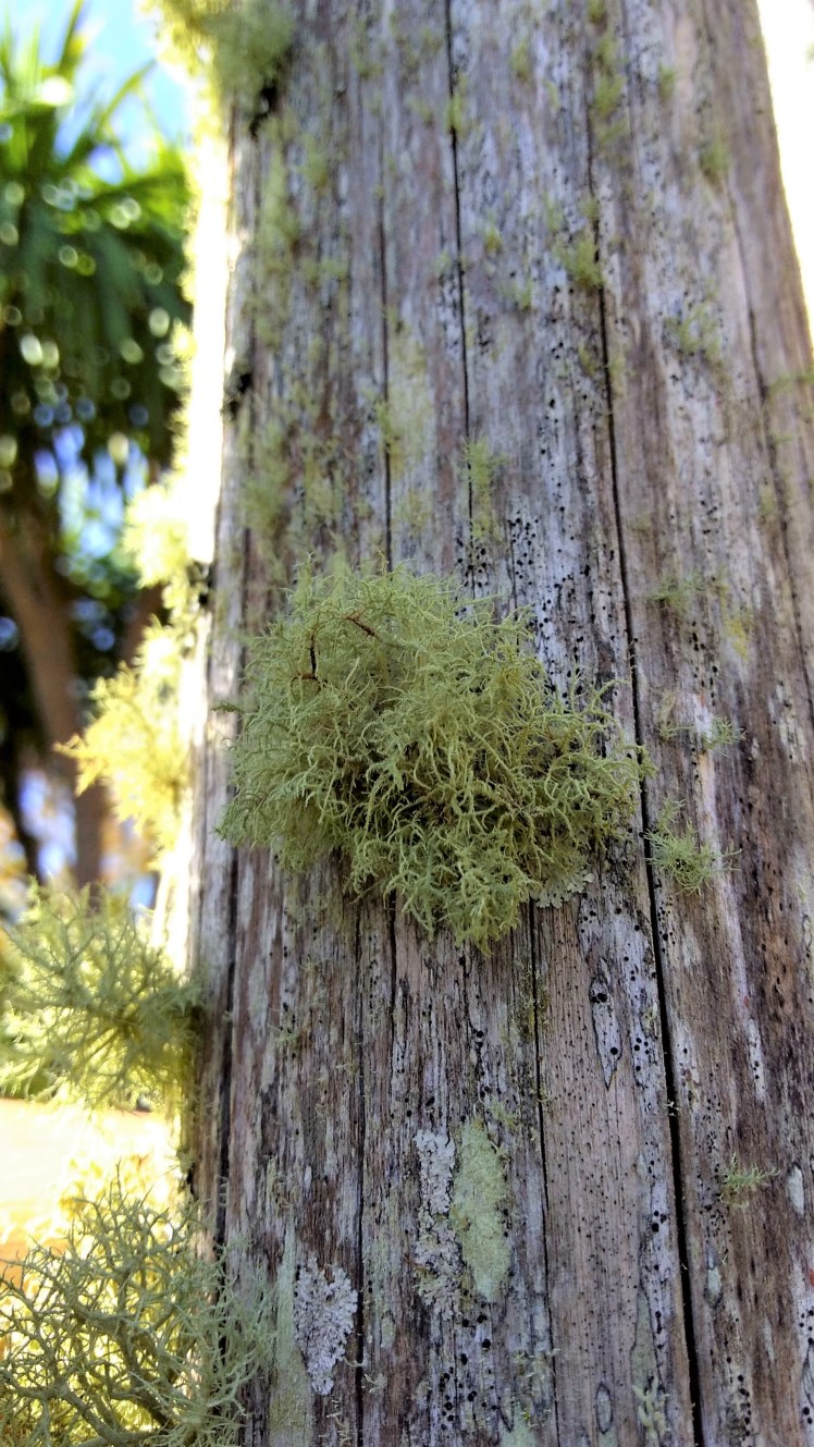 IMG_20180927_145156417_HDR ed