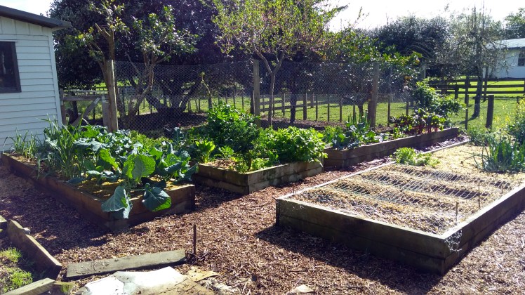 IMG_20181002_095951554_HDR