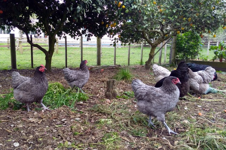 IMG_20181007_172854216_HDR 3x2