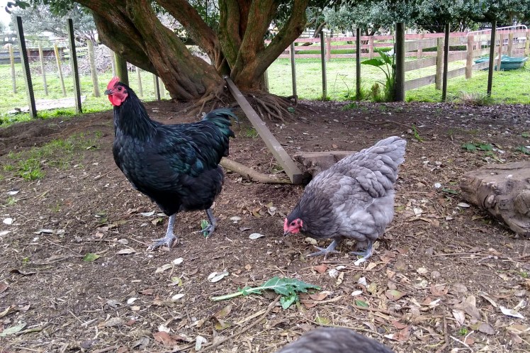 IMG_20181007_173358914_HDR 3x2