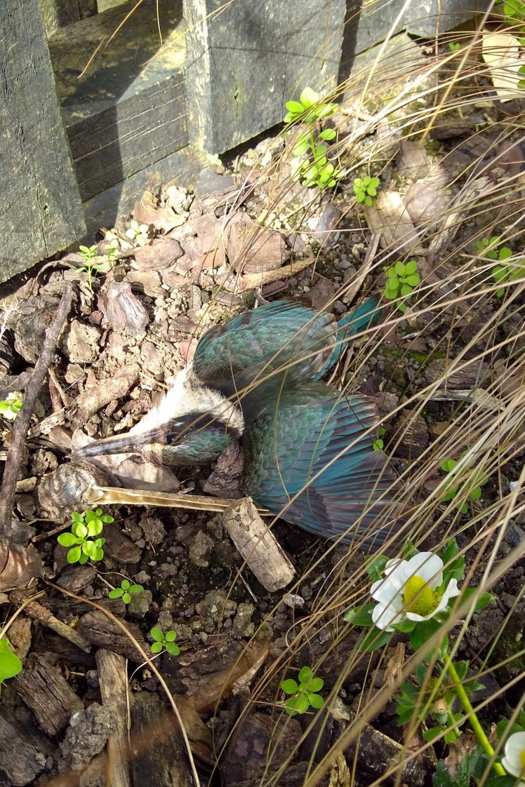 IMG_20181008_154813713_HDR 3x2.jpg