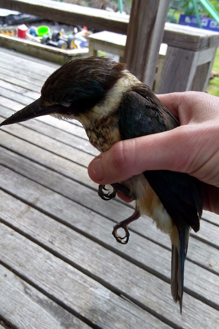 IMG_20181008_154910066_HDR 3x2