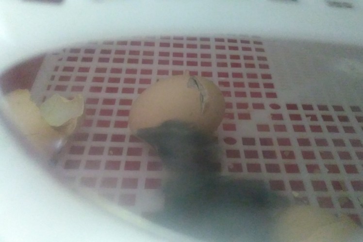 IMG_20181013_183016878 3x2