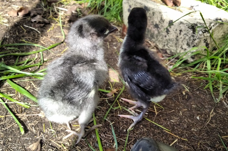 IMG_20181020_154537909 3x2.jpg