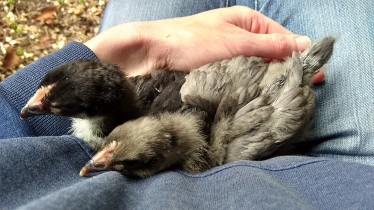 IMG_20181030_152002347_HDR