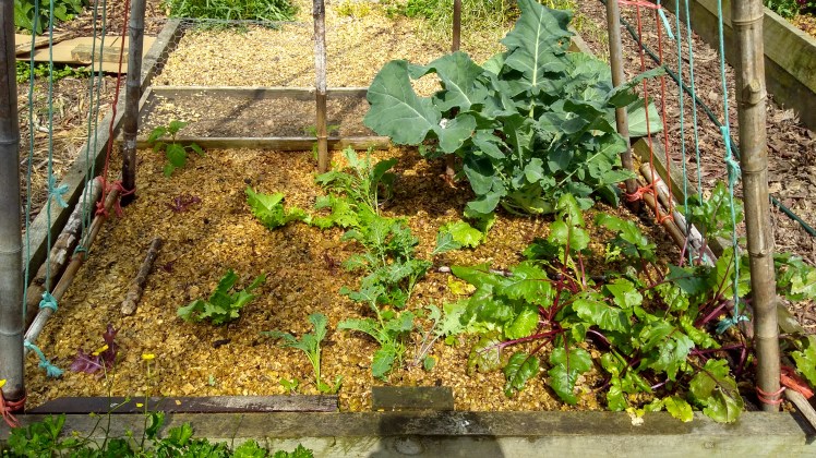 IMG_20181114_103549300_HDR