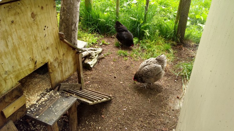 IMG_20181118_134702717_HDR