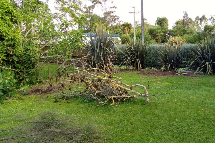 IMG_20181118_190457009_HDR 3x2.jpg