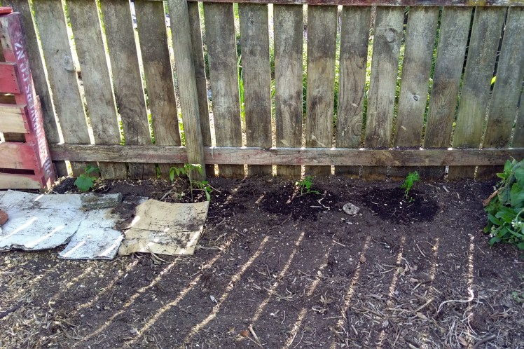 IMG_20181119_175900826_HDR 3x2