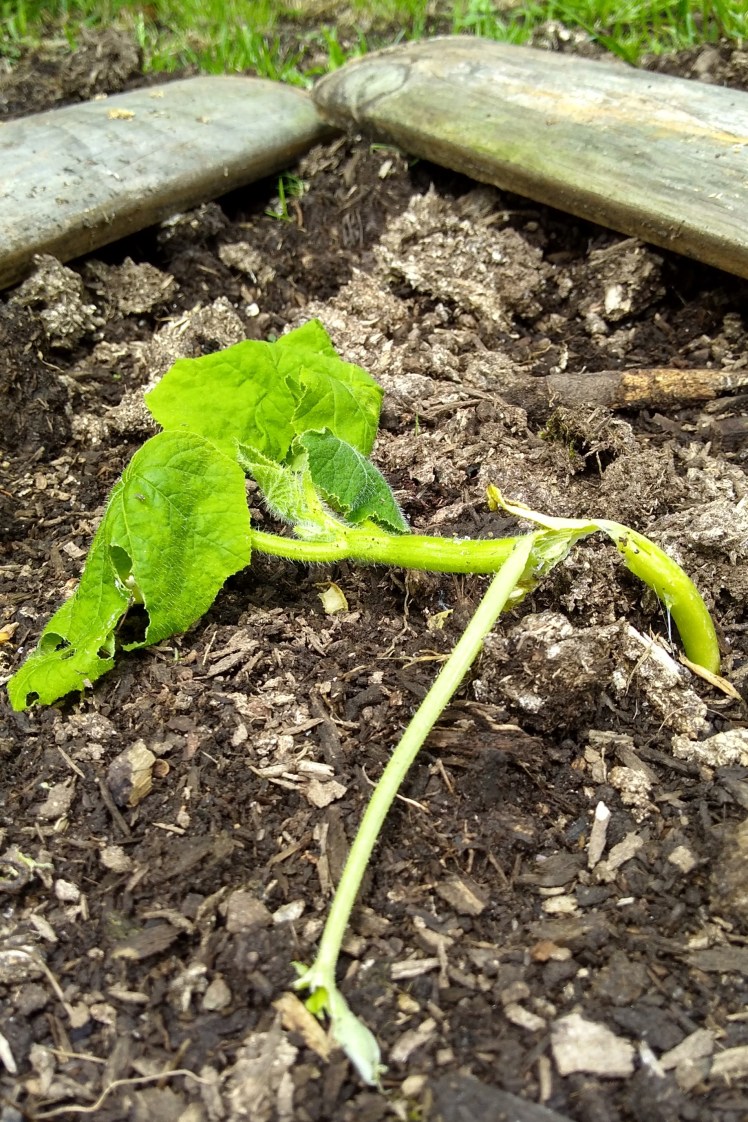 IMG_20181128_135351178_HDR 3x2