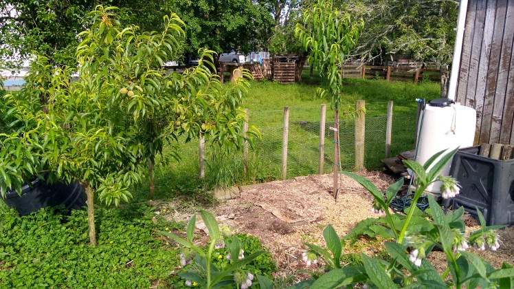 IMG_20181214_175205412_HDR