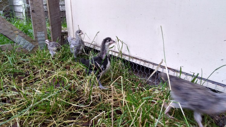 IMG_20181223_173319369_HDR