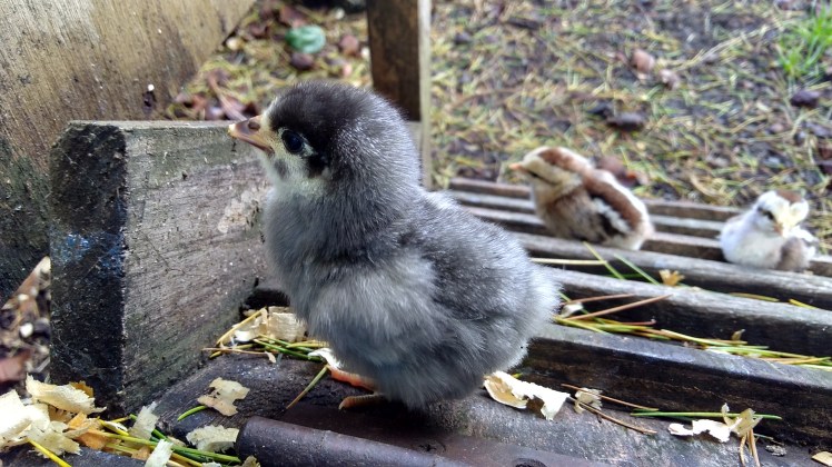 IMG_20181202_080413173_HDR