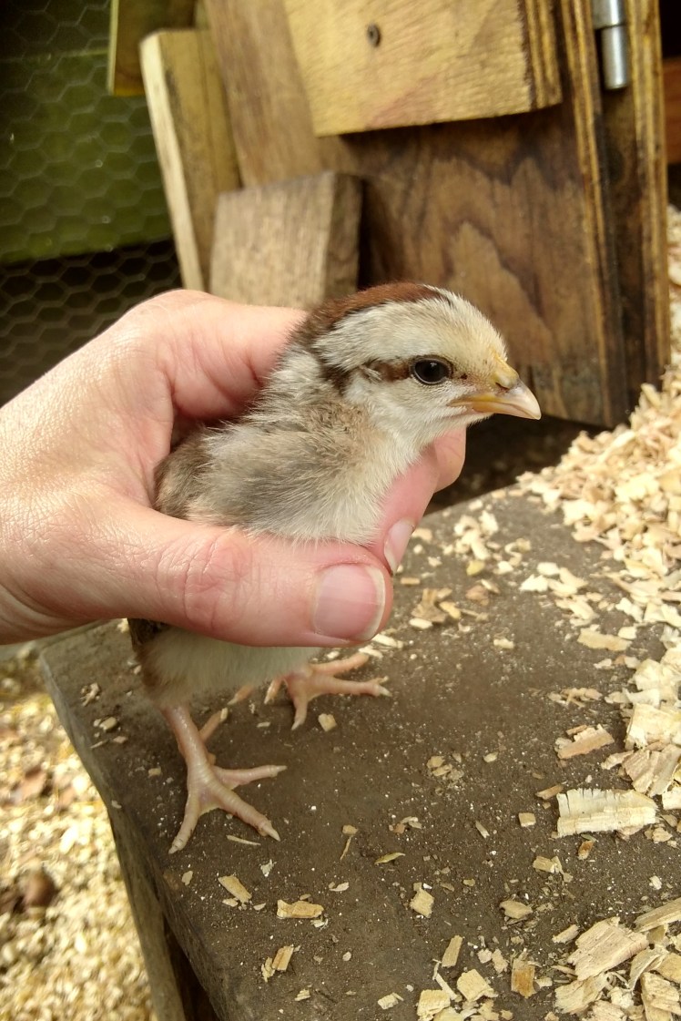 IMG_20181210_101036125_HDR 3x2.jpg