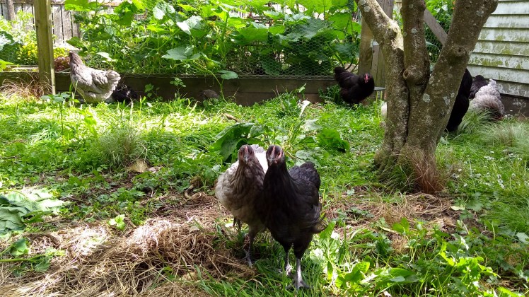 img_20190103_163712184_hdr ed