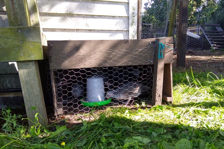 img_20190104_172233858_hdr 3x2