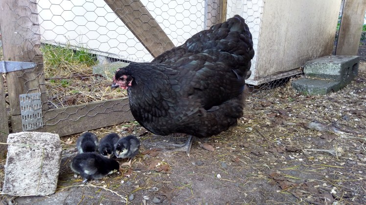 img_20190107_180300407_hdr