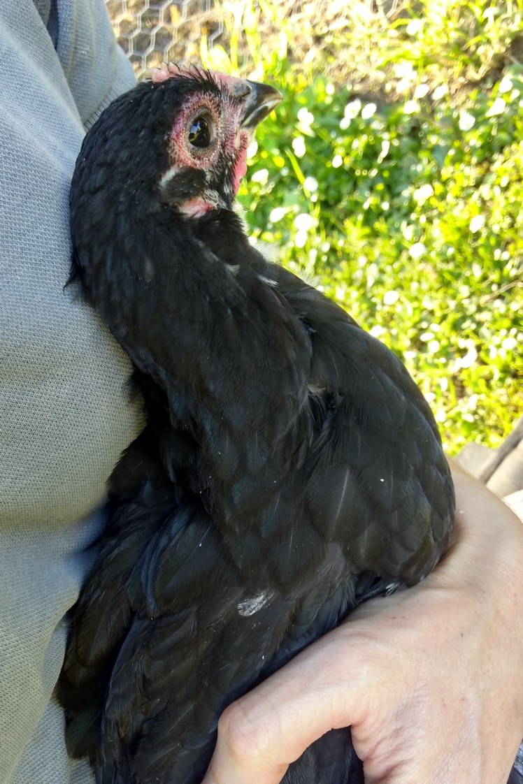 img_20190108_180816411_hdr 3x2