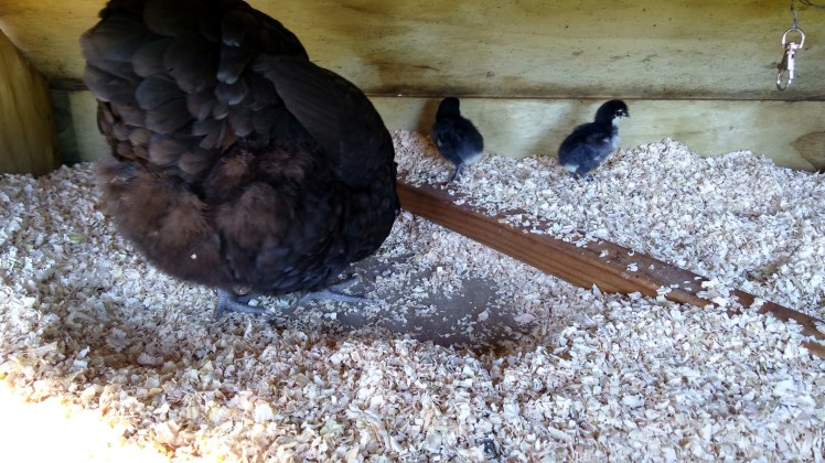 img_20190111_082808023_hdr