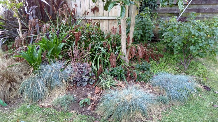 img_20190112_201627027_hdr