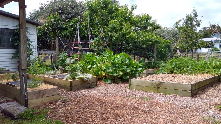 img_20190114_152821475_hdr