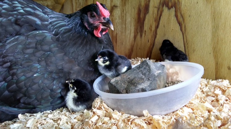 IMG_20190127_174253787_HDR